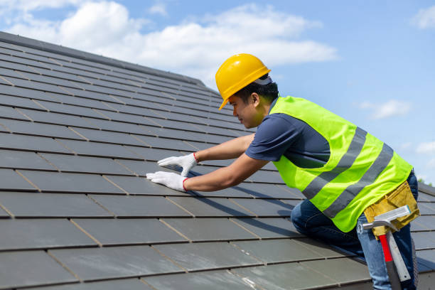 Best Metal Roofing Contractor  in Hamburg, IA