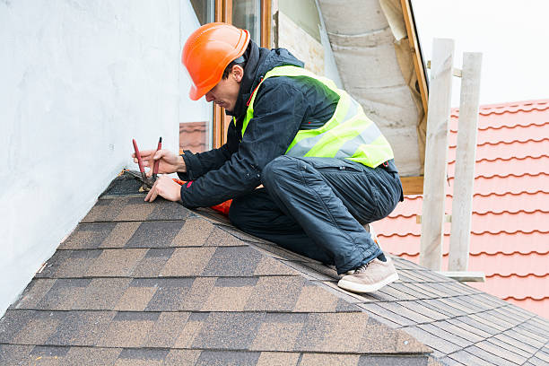 Best Commercial Roofing Services  in Hamburg, IA