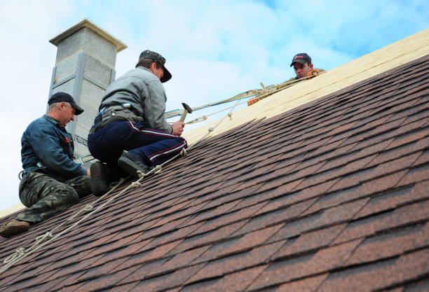 Best Commercial Roof Installation  in Hamburg, IA