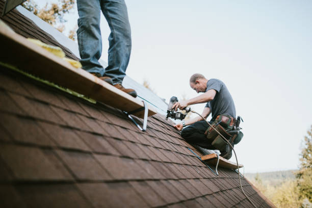 Best Residential Roofing Contractor  in Hamburg, IA