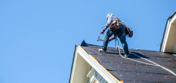 Best Shingle Roofing Installation  in Hamburg, IA